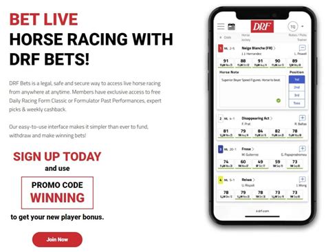 drf bets|Horse Racing Live Odds Chart, Betting, & Scratches Today .